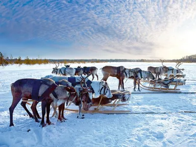 Finnischer Wintertraum