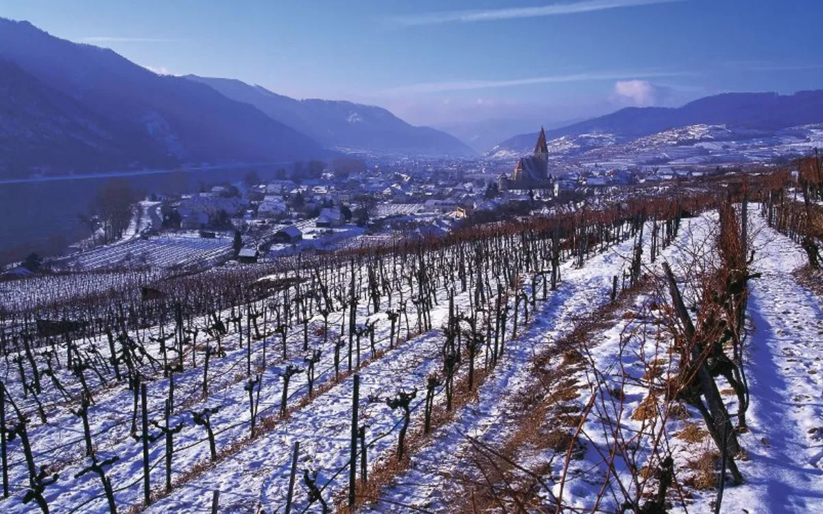 Verschneite Landschaft mit Weinbergen und Blick auf Weissenkirchen in der Wachau im Winter.