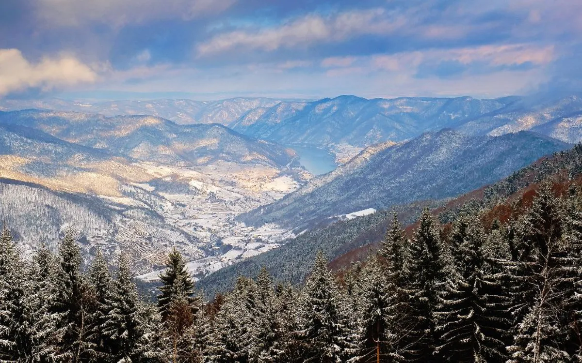 Verschneite Berglandschaft mit Tannen und Tal im Hintergrund.