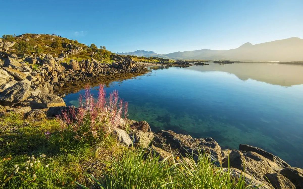 Klares Wasser, Felsen und Wiesen bei Sonnenschein in Leknes, Vestvågøy, Norwegen.