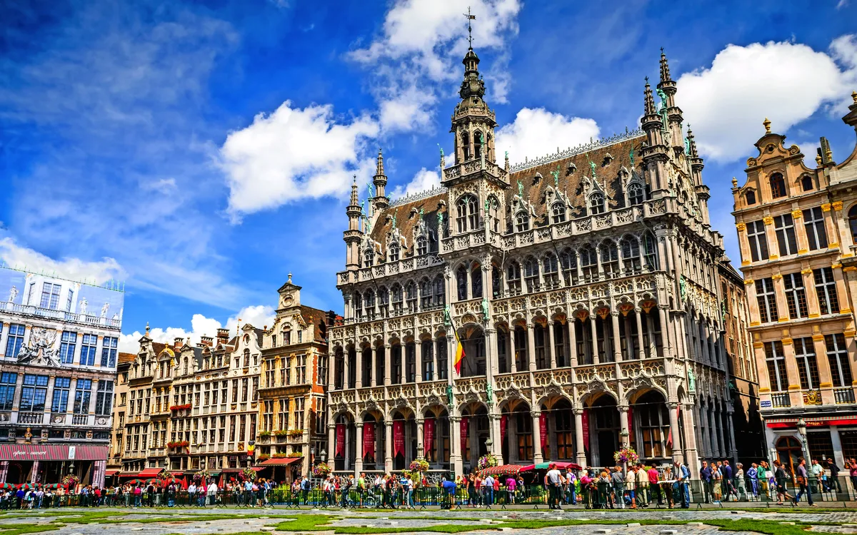 Blumenteppich auf dem Grote Markt in Brüssel, umgeben von historischen Fassaden.