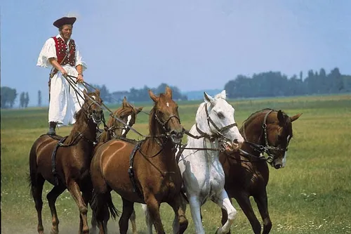 Reiter balanciert stehend auf mehreren Pferden in der Puszta.