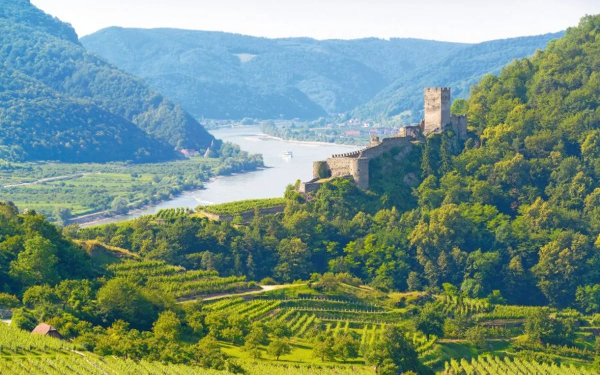 Weinberge, Donau, Burgruine Hinterhaus in der Wachau-Landschaft.