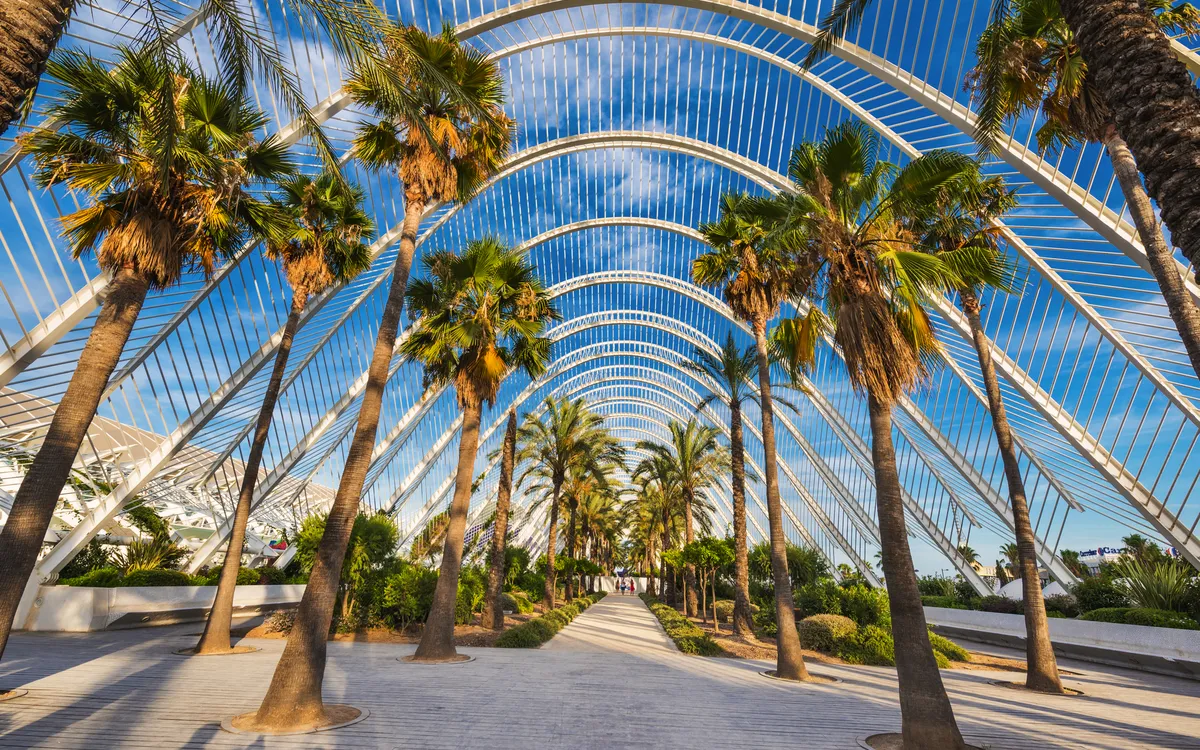 Palmengesäumter Gang im L’Umbracle in Valencia bei blauem Himmel.