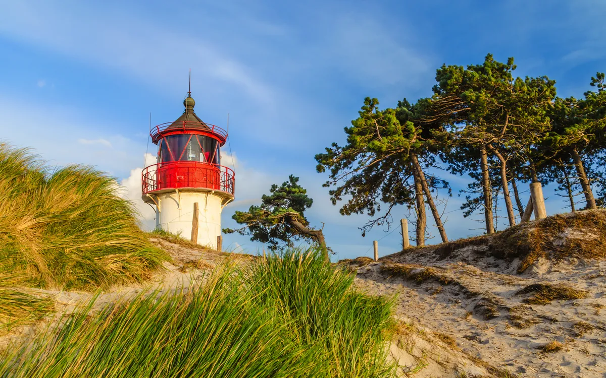 Roter Leuchtturm auf einer Düne mit Kiefern und blauem Himmel.