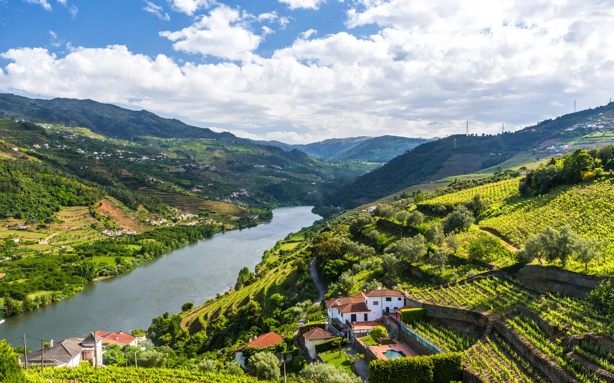 Blick auf das Douro-Tal mit Fluss und Weinbergen unter blauem Himmel.