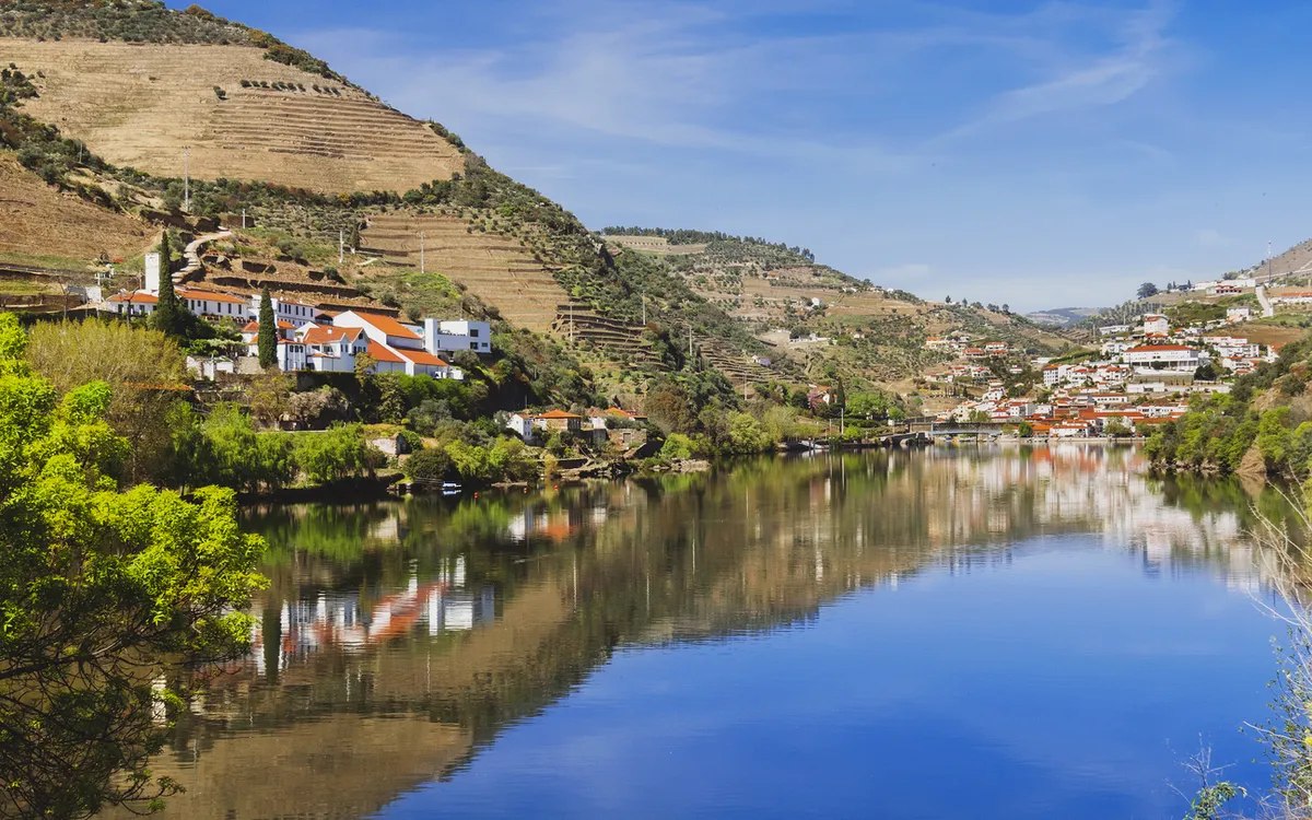 Landschaft mit Fluss, Bergen und gelben Blumen im Vordergrund.