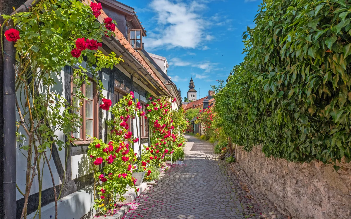 Blumengeschmückte Gasse in Visby, Gotland, mit historischem Gebäude im Hintergrund.