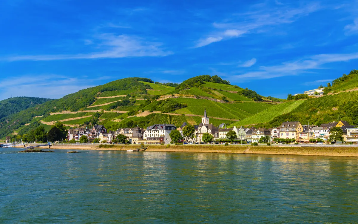 Rhein mit Weinbergen in Rüdesheim am Rhein, klarer blauer Himmel