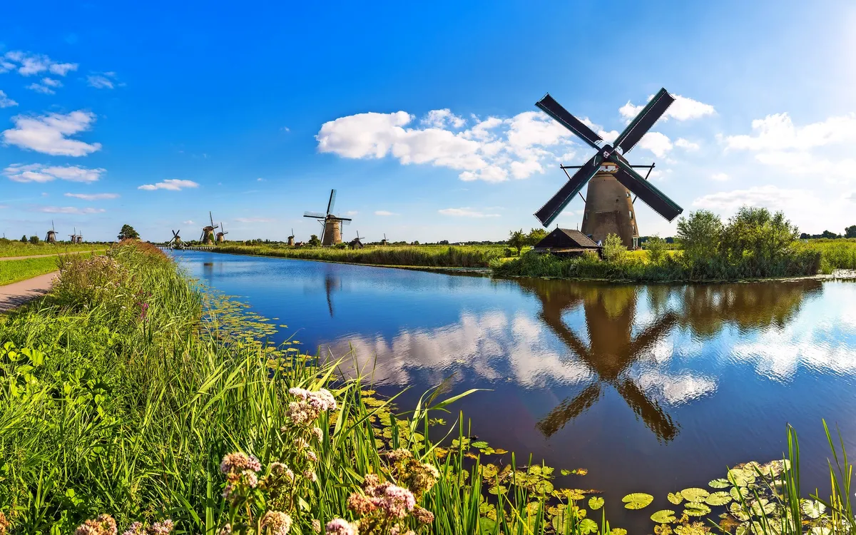 Windmühlen in Kinderdijk, Niederlande, spiegeln sich im Wasser eines Kanals.