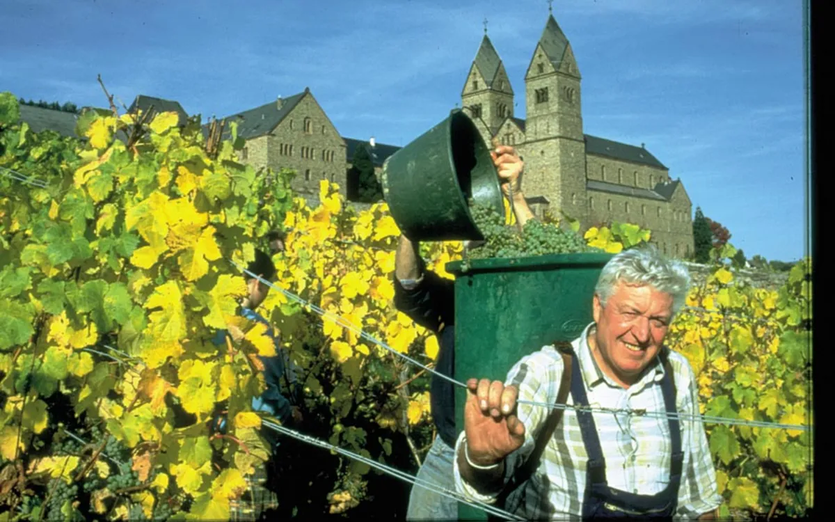 Weingenuss an Rhein, Mosel und Ahr