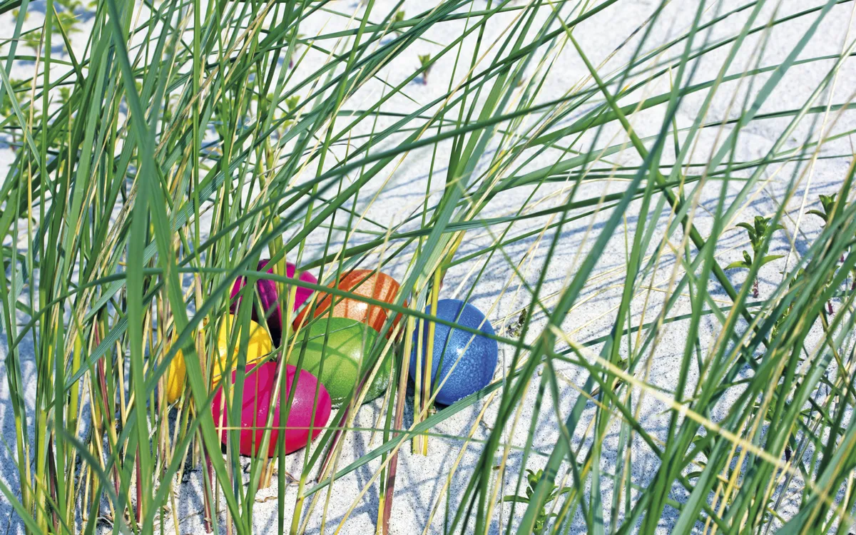 Bunte Ostereier versteckt im Strandhafer am Sandstrand.