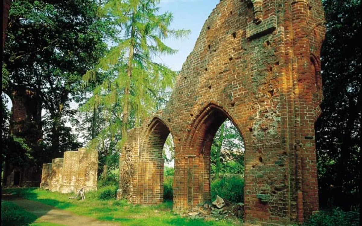 Backsteinmauer der Ruine des Zisterzienserklosters Eldena inmitten von Bäumen und Gras.