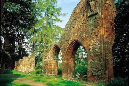 Backsteinmauer der Ruine des Zisterzienserklosters Eldena inmitten von Bäumen und Gras.