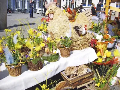 Dekorativer Stand mit bunten Frühlingsblumen und Strohhuhn auf dem Greifswalder Markt.